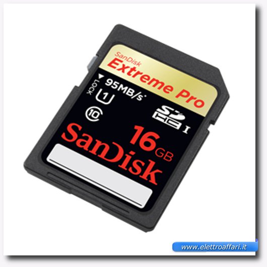 Immagine di una memoria SD SanDisk 16 GB